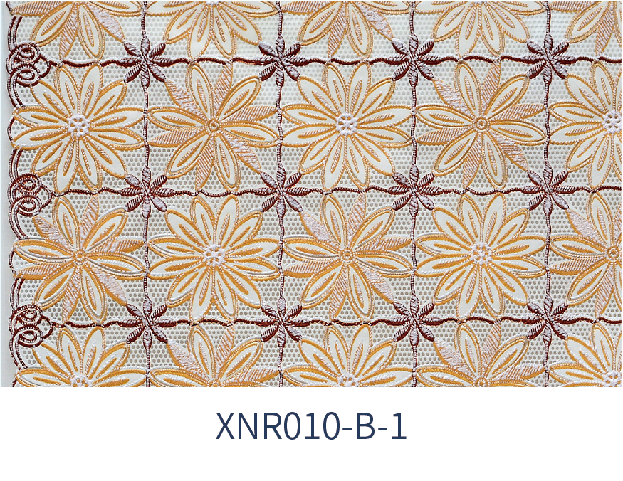 XNR-010B-1