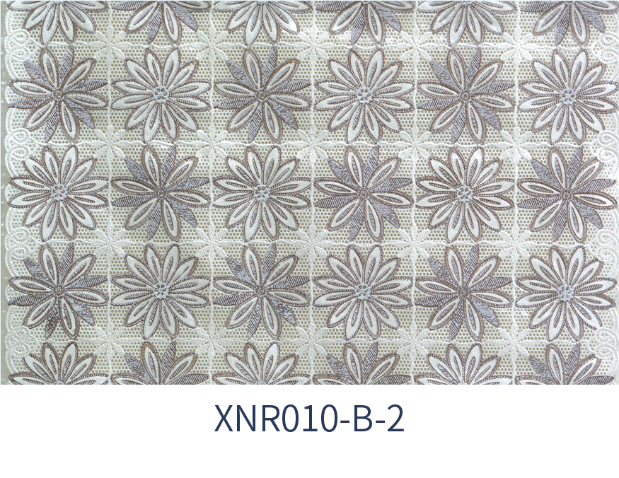 XNR-010B-2