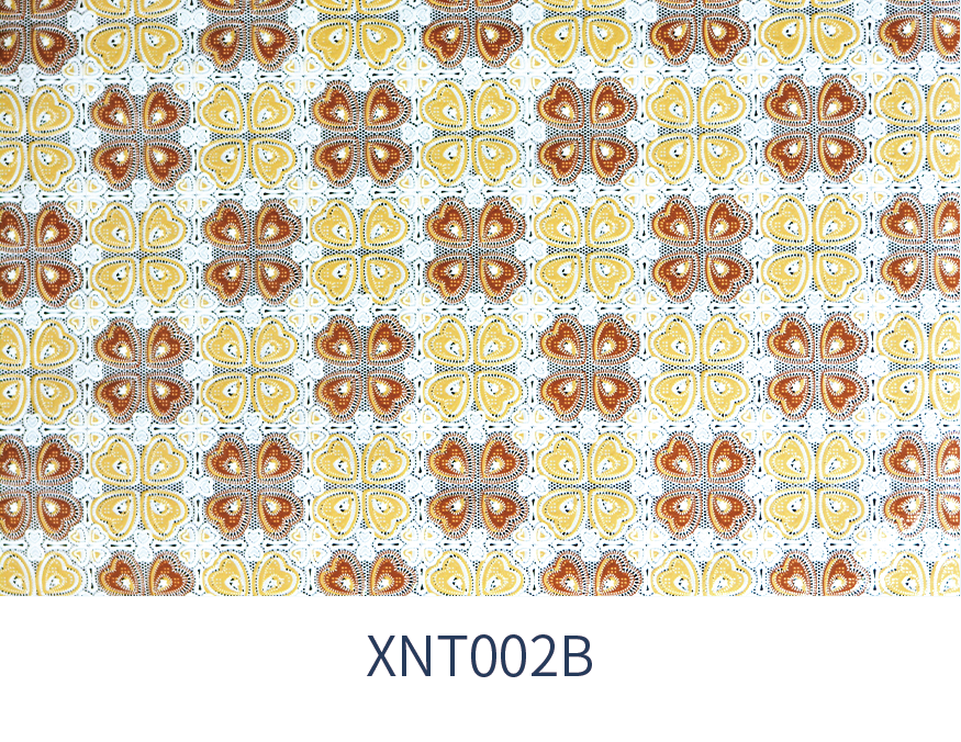 XNT002B