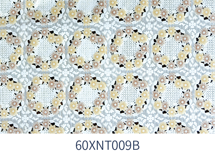 XNT009B
