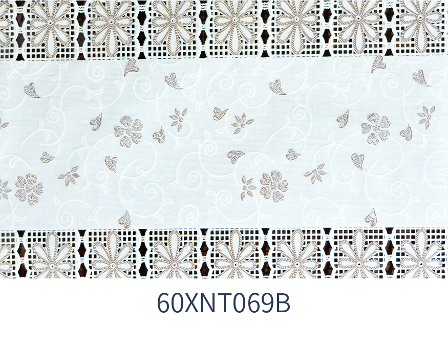 XNT069B