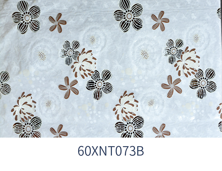 XNT073B