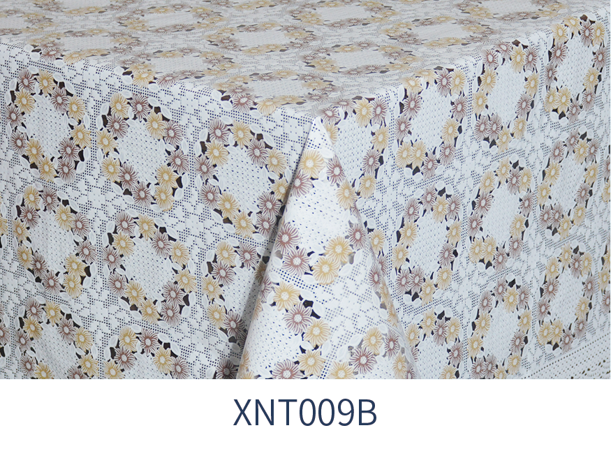 XNT009B
