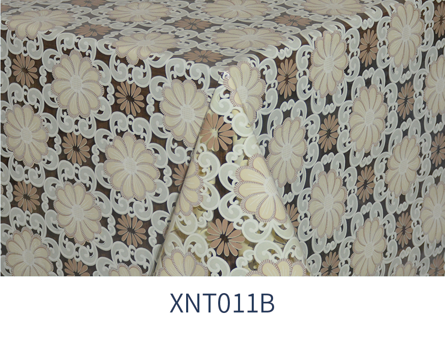 XNT011B