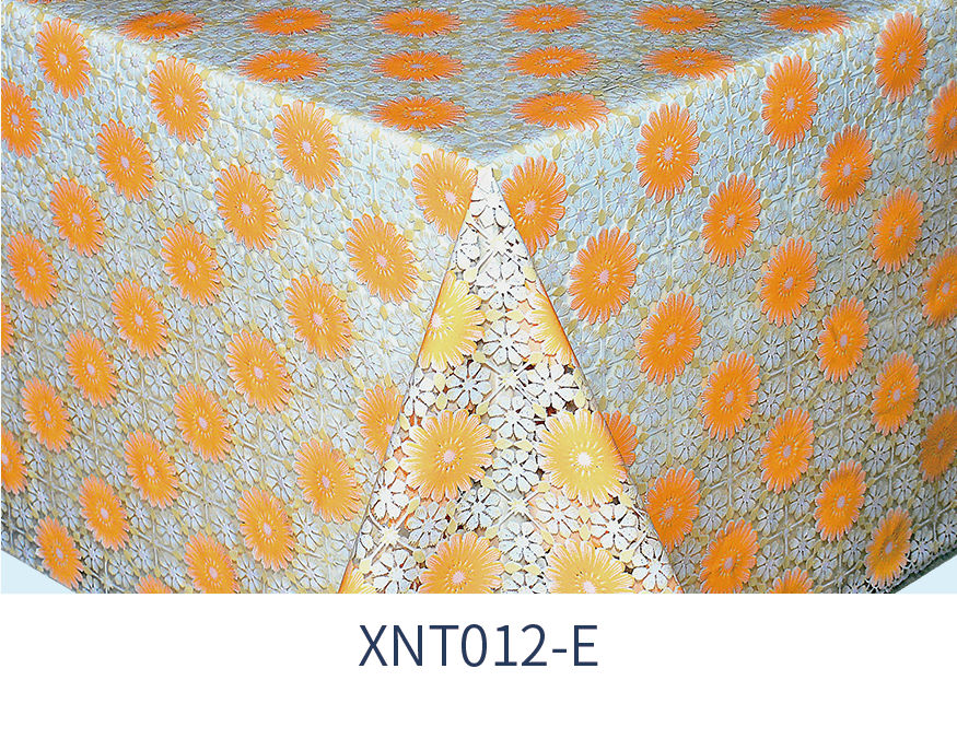 XNT012-E