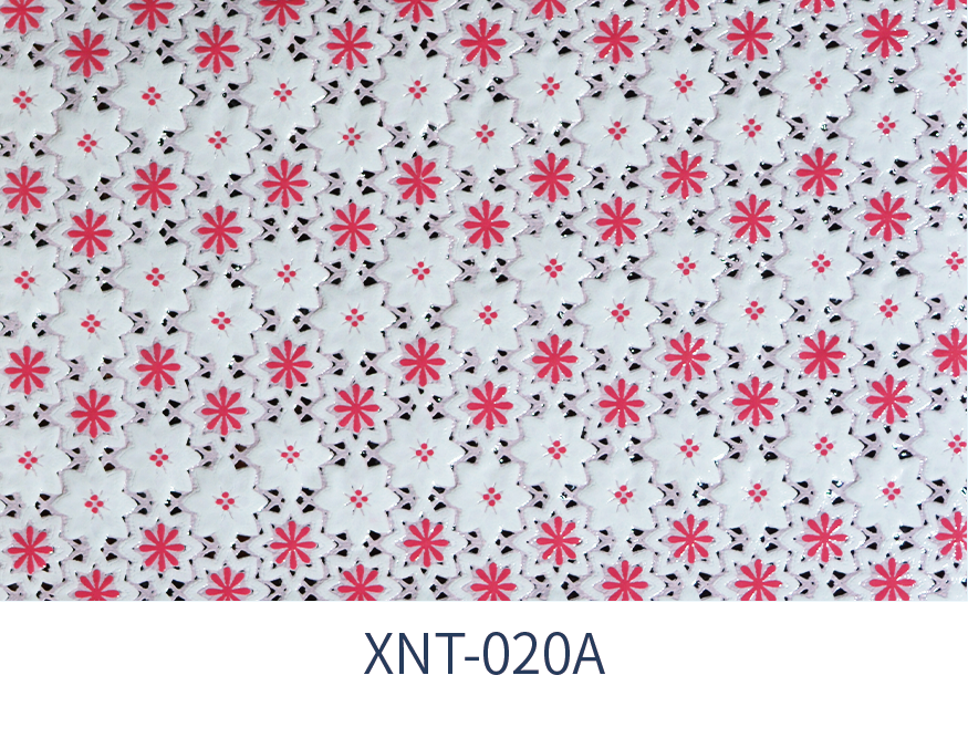 XNT-020A