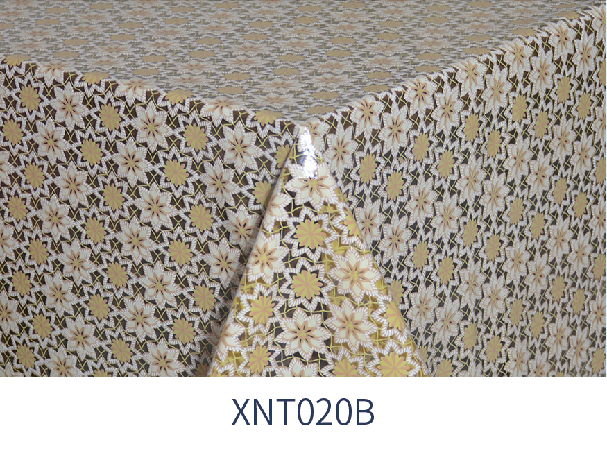 XNT020B