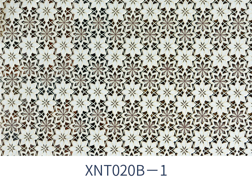 XNT020B-1