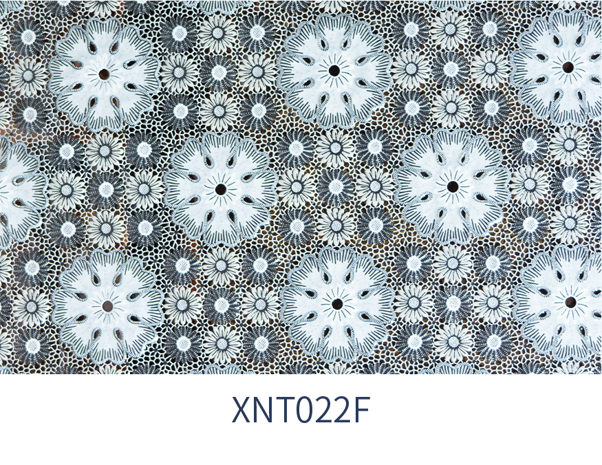XNT022F