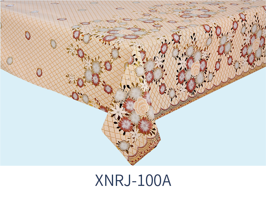 XNRJ-100A