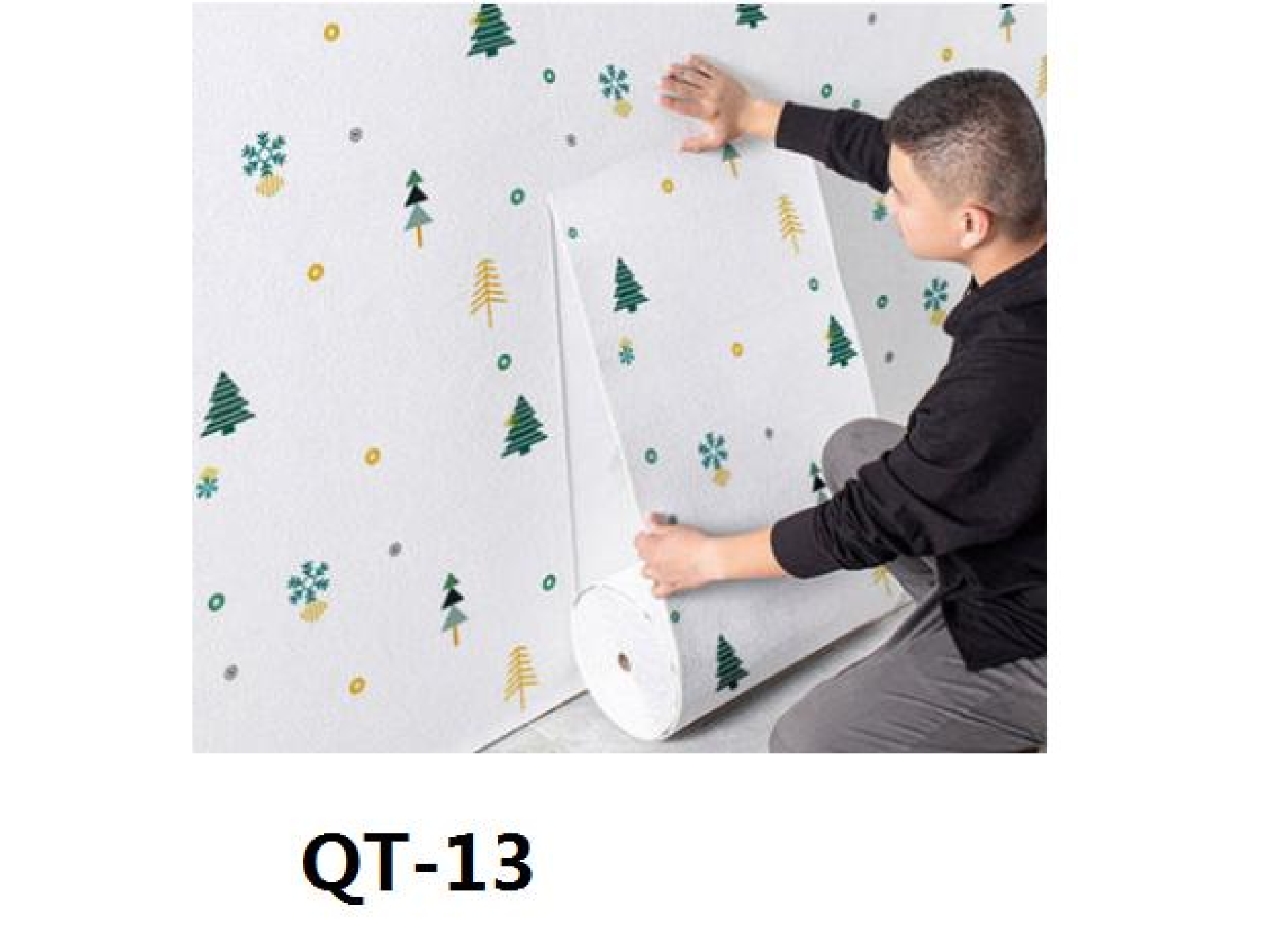 QT-13