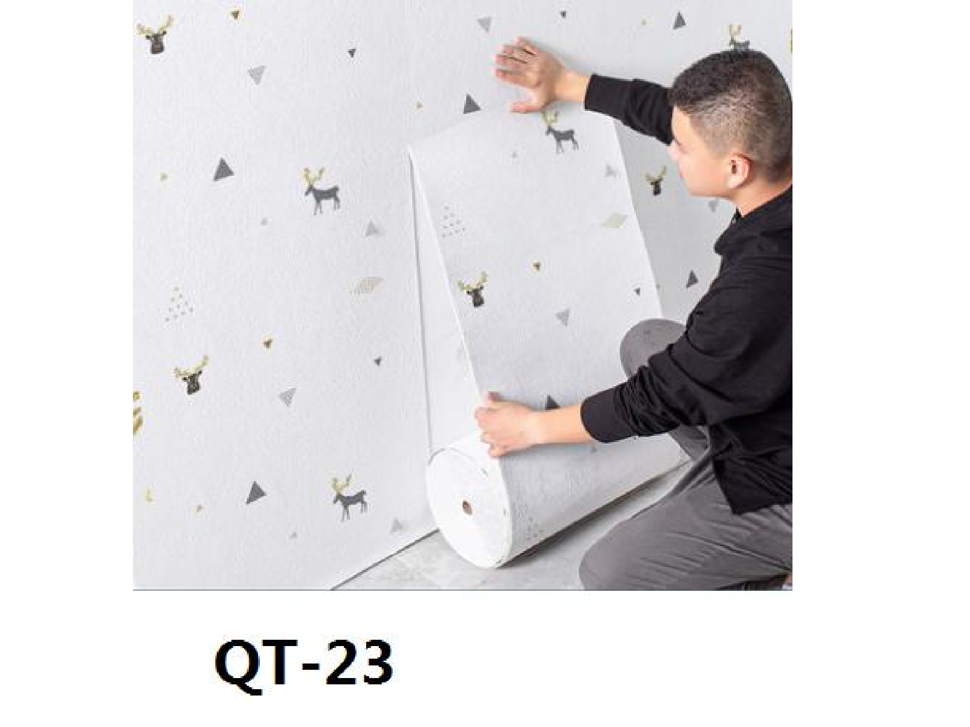 QT-23